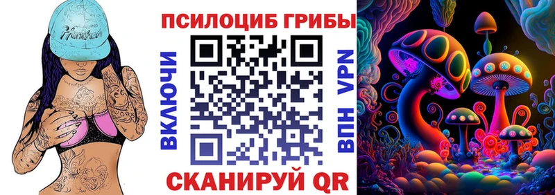 Купить закладки  Сочи  Галлюциногенные грибы GOLDEN TEACHER 